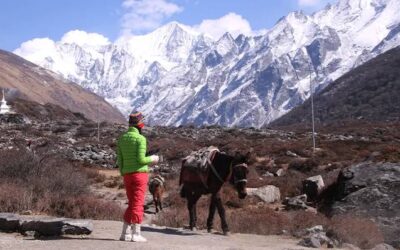 Langtang Valley Trek in August
