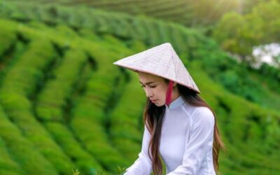 ươmen: Celebrating the Spirit and Strength of Vietnamese Women