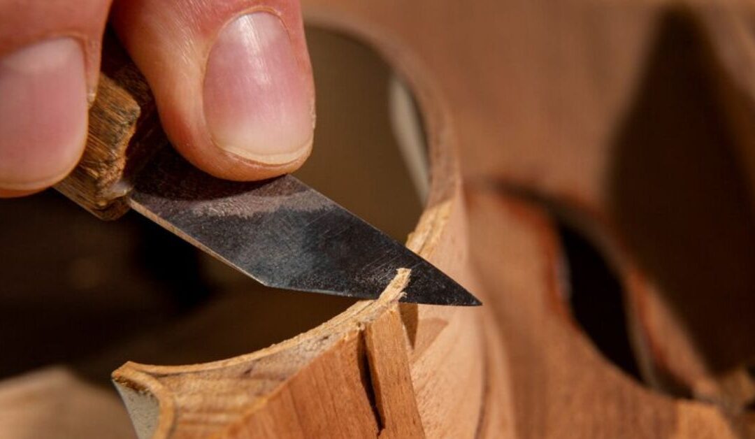 a terdinail woodworking hand tool used to remove shaveings