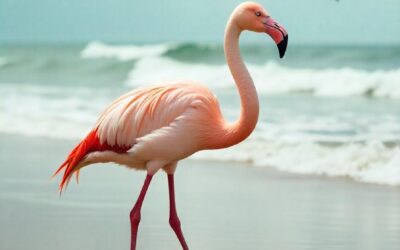 The Yorkshire Flamingo Profanisaurus – A Quirky Guide to Local Lingo and Laughter